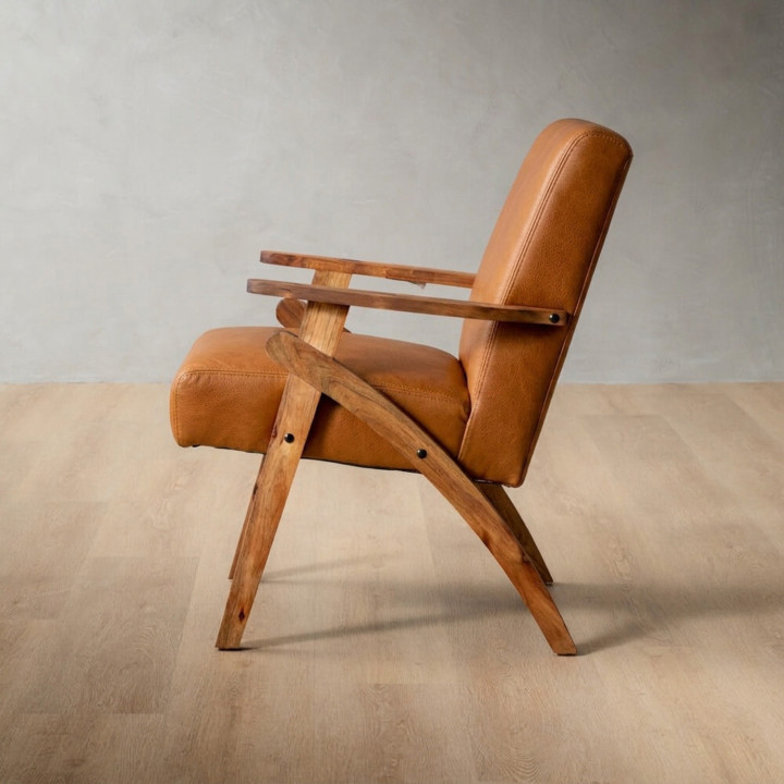 Gariep Leather Armchair - Blackwood - Ginger - 2