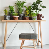 SMALL Leather Planter/Storage Baskets - Ginger - 2