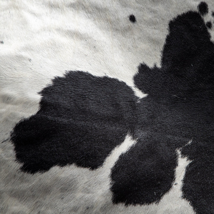 White and Black Brazilian Cow Hide