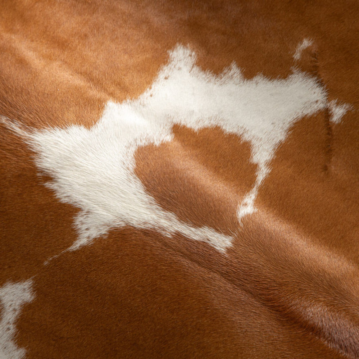 Nguni Cow Hide