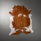 Nguni Cow Hide