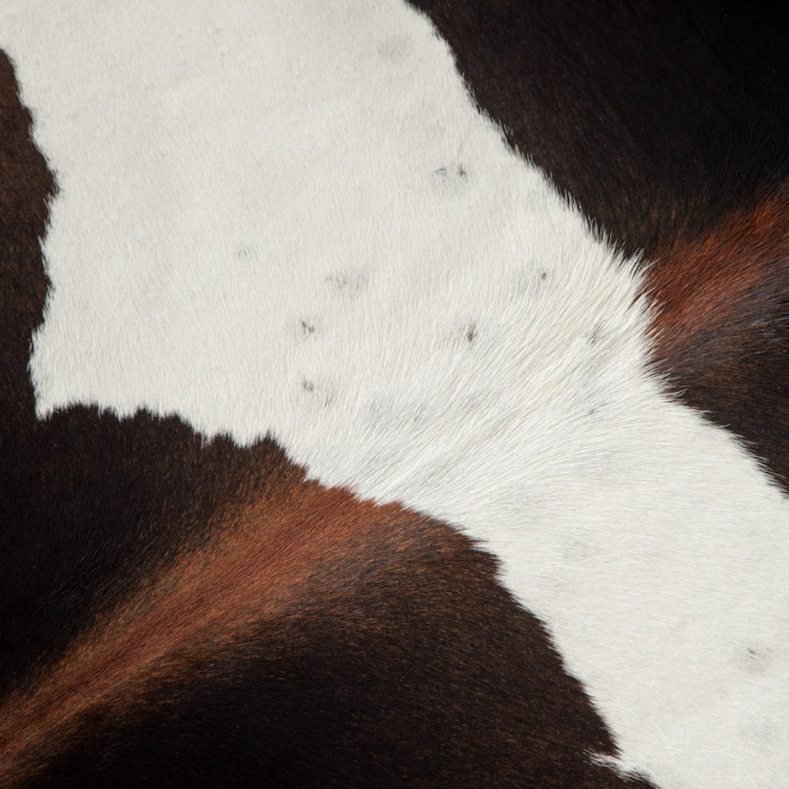 Nguni Cow Hide - Large