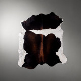 Nguni Cow Hide - Large