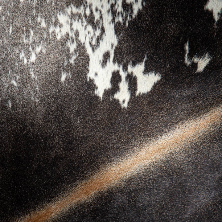 Nguni Cow Hide - Large 1