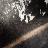 Nguni Cow Hide - Large 1