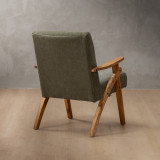 Demo - Gariep Fabric Armchair - Blackwood - Rosemary 4