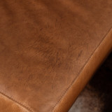 Tulbagh Leather Corner Couch with XL Daybed Left - Butterscotch - 5