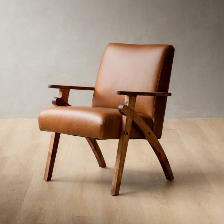 Gariep Leather Armchair - Blackwood - Butterscotch - 1