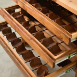 Small Linear Wine Rack - Blackwood - 4