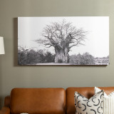Baobab Canvas - 2
