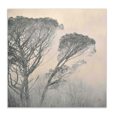 Copper Tree Canvas - 1
