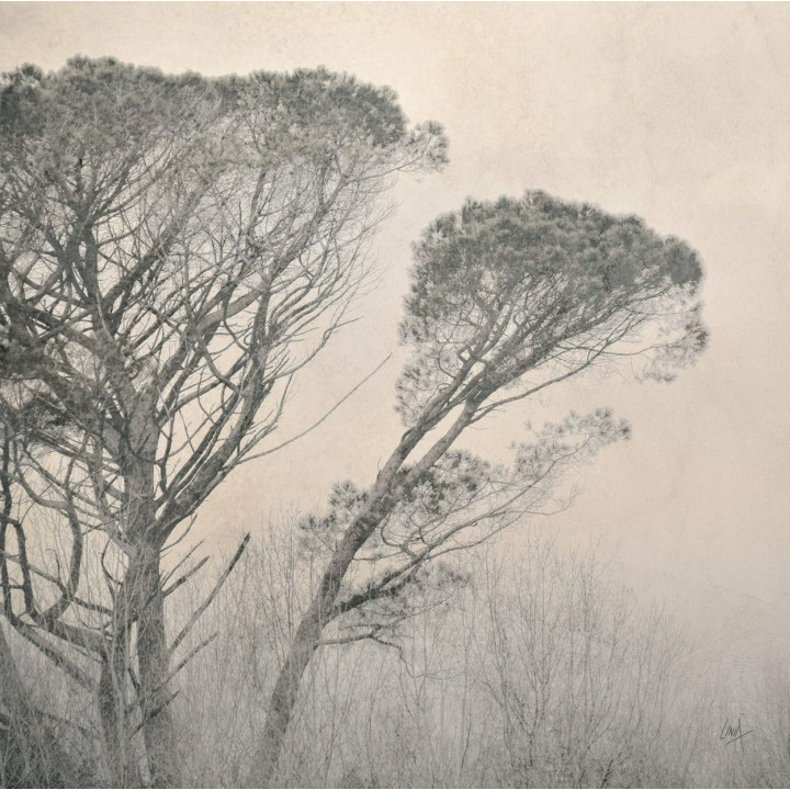 Copper Tree Canvas - 5