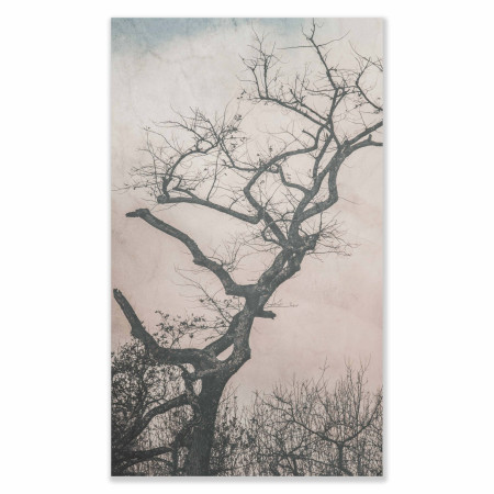 Pink Blue Tree Canvas - 1