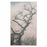 Pink Blue Tree Canvas - 1