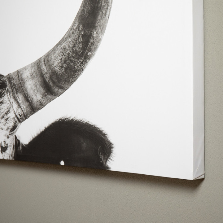 Horns Canvas - 3