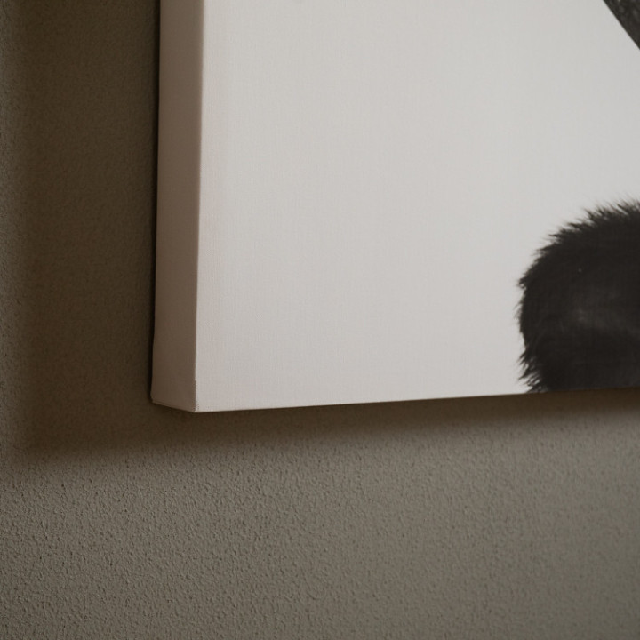 Horns Canvas - 4