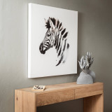 Zebra Canvas - 3