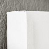 Zebra Canvas - 5