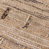 Algiers Rug - Medium - 5