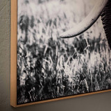 Grace In Stillness Framed Canvas - 3