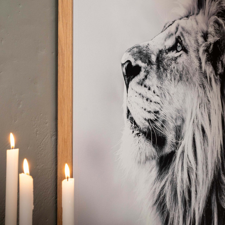 The Watchful King Framed Canvas - 3