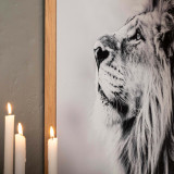 The Watchful King Framed Canvas - 3