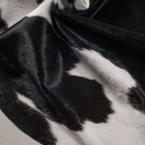 Brazilian Cow Hide - Medium - 4
