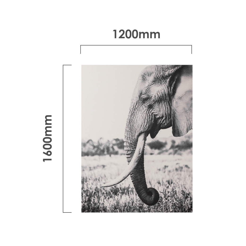 Grace in Stillness Canvas Dimensions