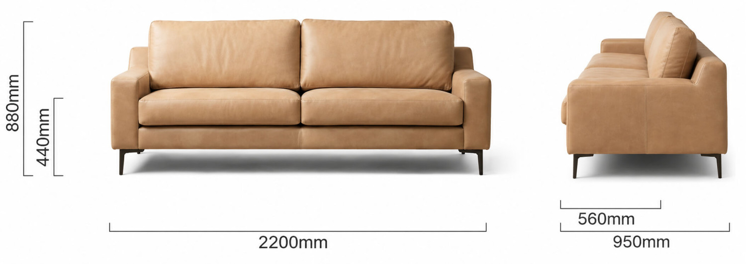 Tulbagh 3 Seater Leather Couch Desert Dimensions