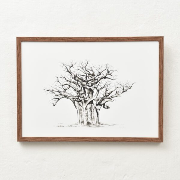 framed-canvas-baobab