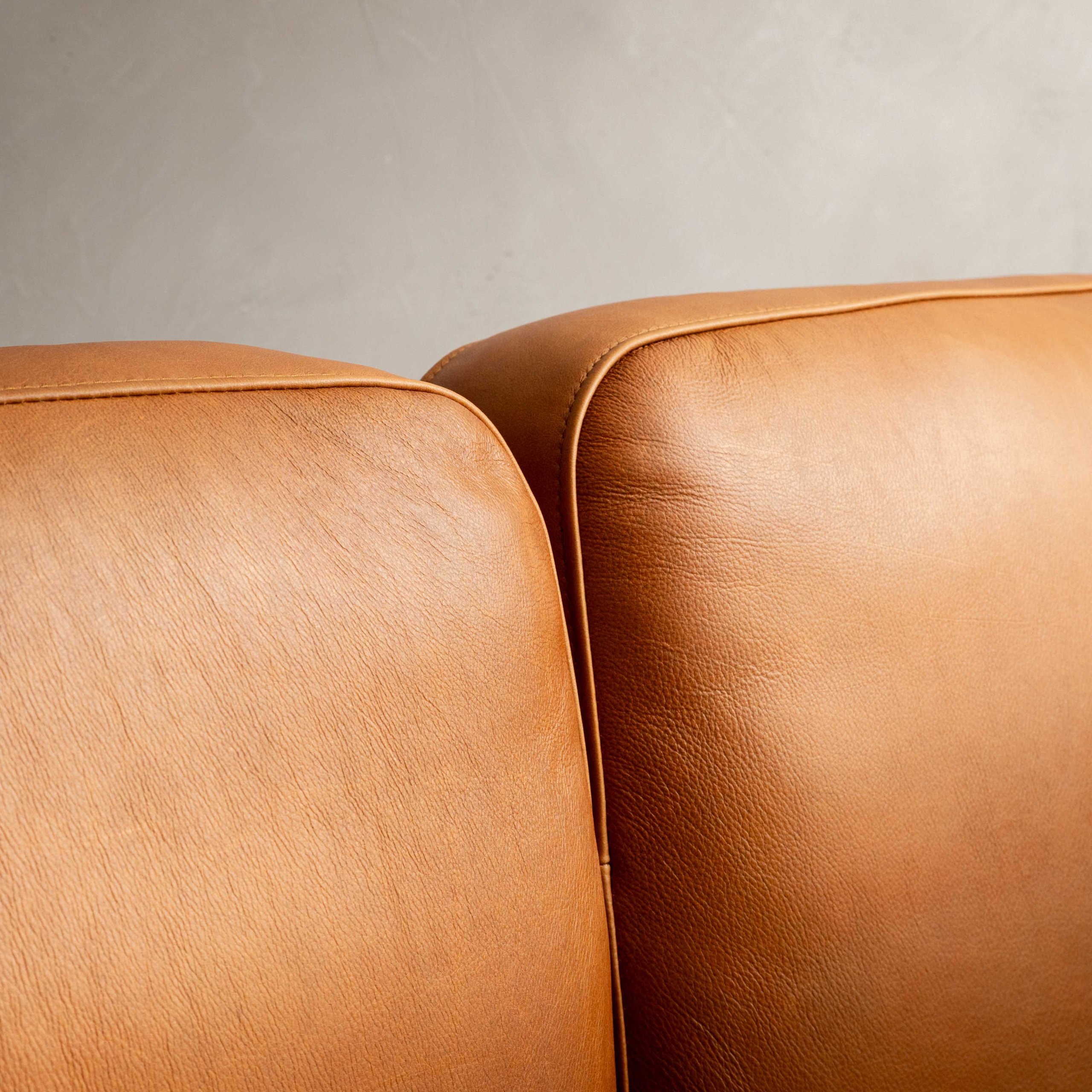 TulbaghLH Dayb 2.8 x1.6Gin Stl web-0385