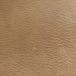 Shiduli Desert