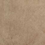 Agulhas Taupe