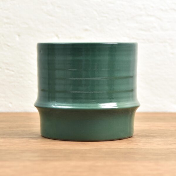 Green-Juniper-Pot