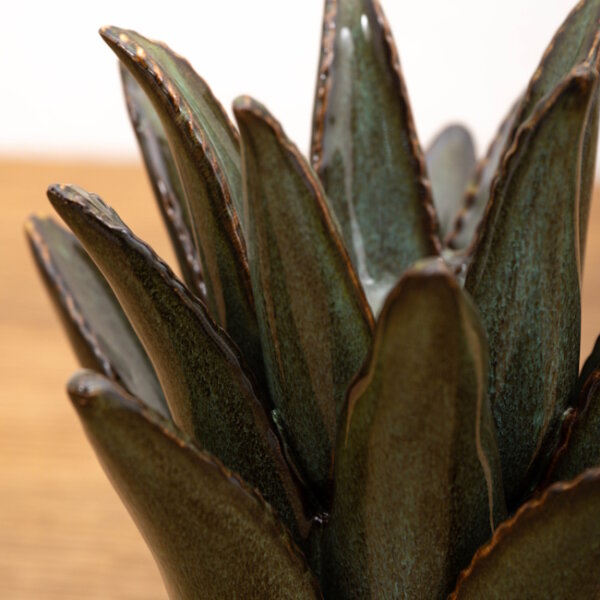 spiked-aloe-in-green