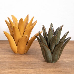 spiked-aloe-in-mustard-and-green