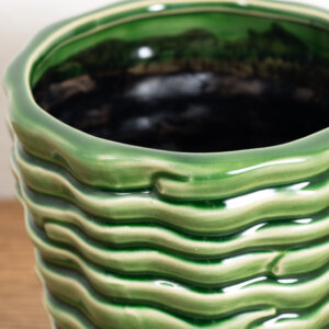 green-accordia-pot