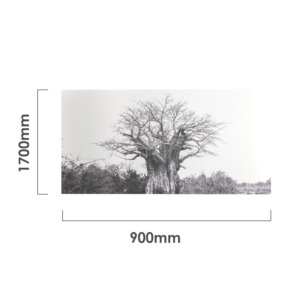 boabab-canvas-dimensions