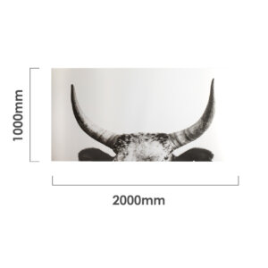 horns-canvas-dimensions