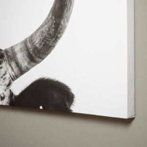 horns-canvas