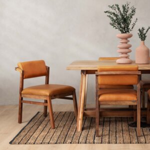 jozi-leather-dining-chair-blackwood