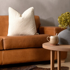 mountain-leopard-buchu-duck-feather-scatter-cushion