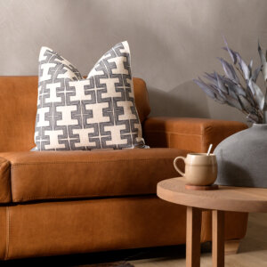rake-black-duck-feather-scatter-cushion