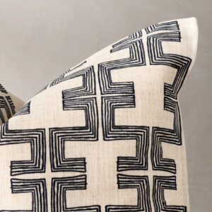 rake-black-duck-feather-scatter-cushion