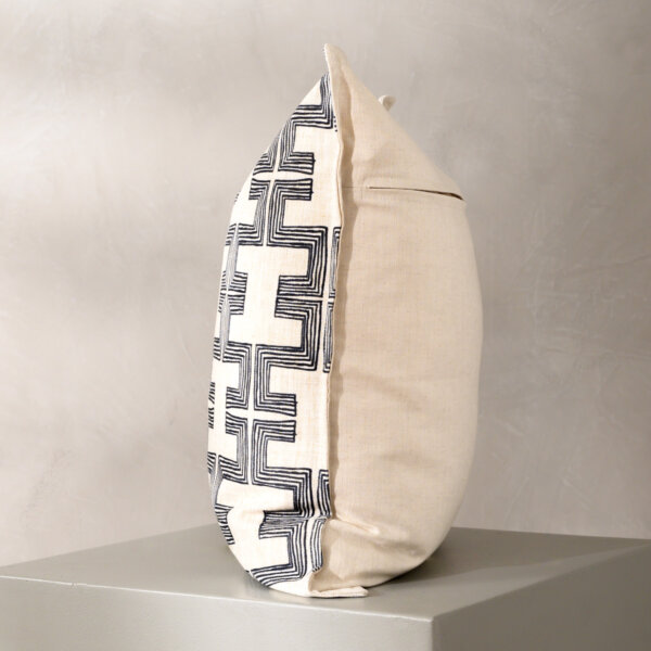 rake-black-duck-feather-scatter-cushion