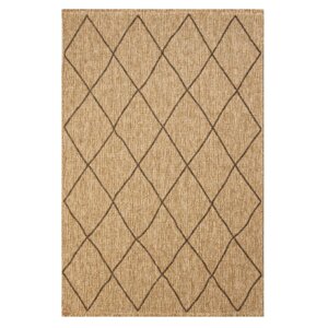 zeno-rug