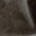 Charcoal