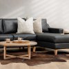 douglas-leather-daybed-right-mystique-black