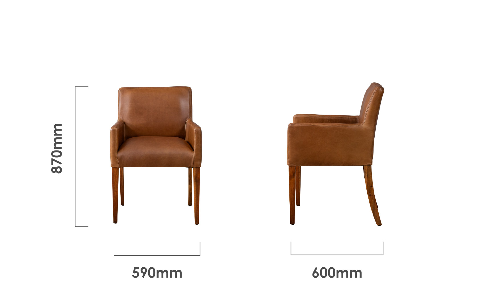 sandton-leather-dining-chair-blackwood-butterscotch-dimensions