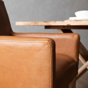 sandton-dining-chair-blackwood-ginger